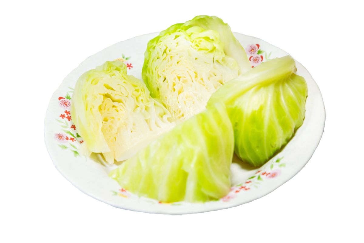 15 Best Boiled Cabbage Recipes To Try Today