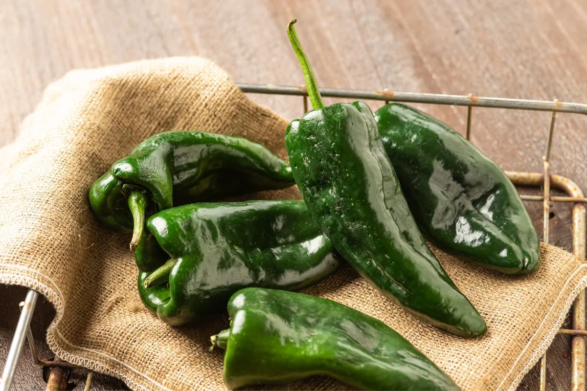 15-Best-Poblano-Pepper-Recipes-To-Try-Today