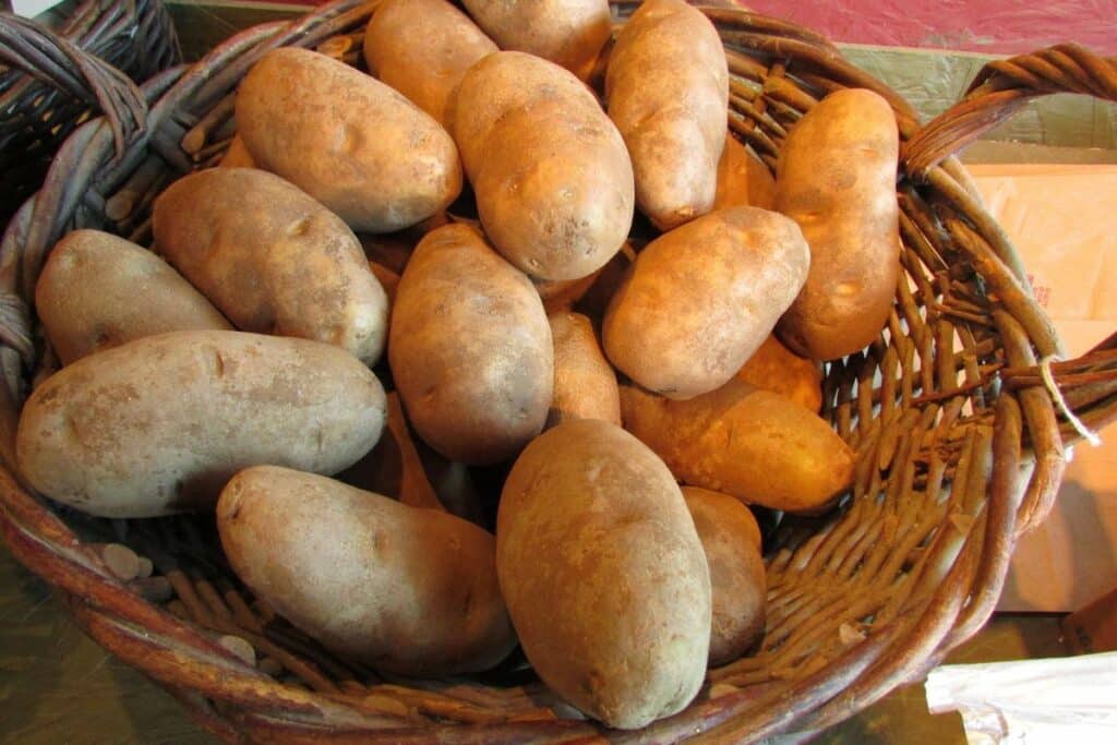 Crispy russet potato dish with global spices