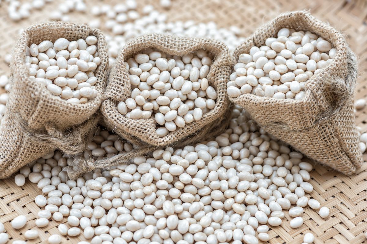 9 Of The Best Substitutes For Navy Beans (One Could Surprise You)