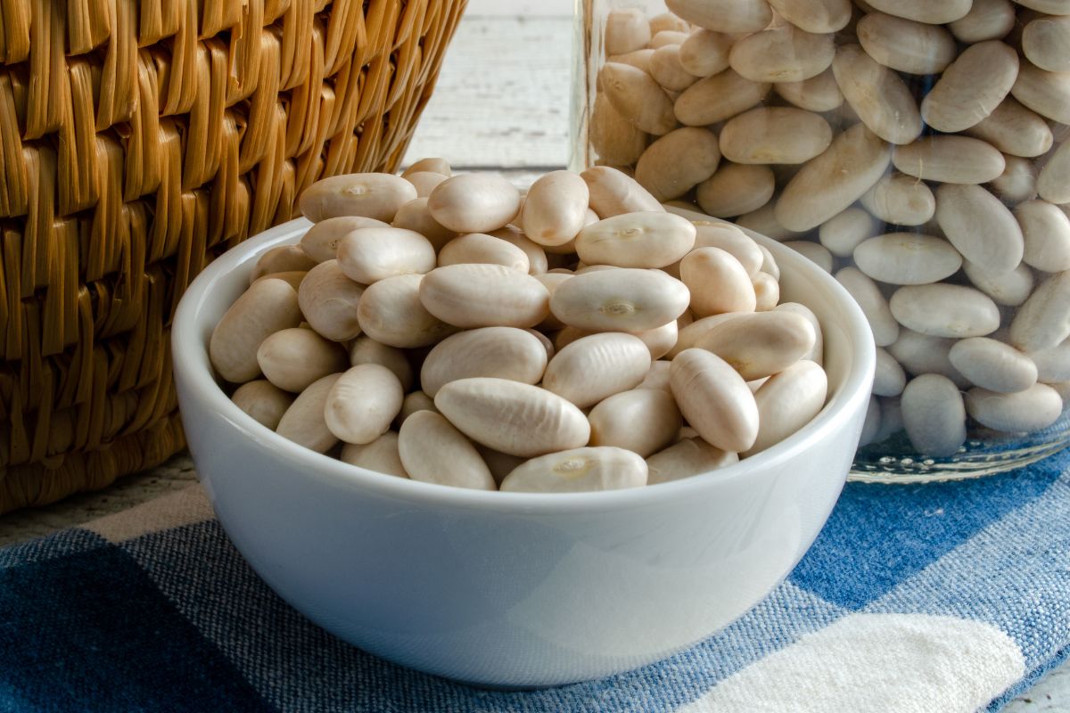 Cannellini Beans 