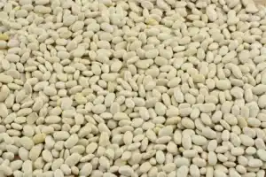 Great Northern Beans: 9 Best Ways to Substitute 2 great northern beans substitute