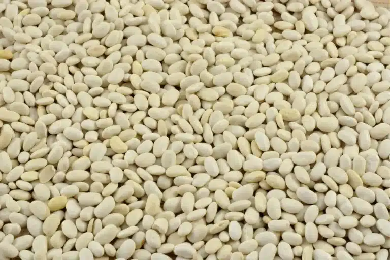 great northern beans substitute