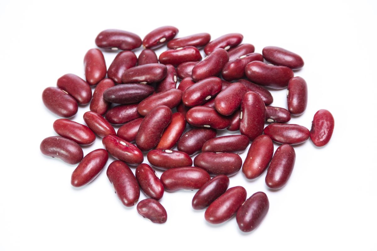 Red Kidney Beans 
