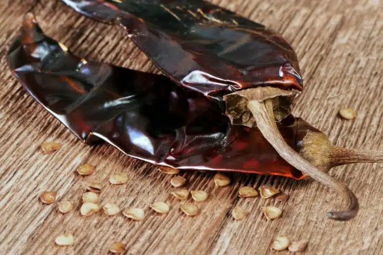 What Are The Differences Between California And Guajillo Chiles