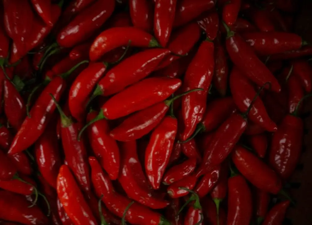 Best Chile Recipes 2025 - Spicy Culinary Adventure