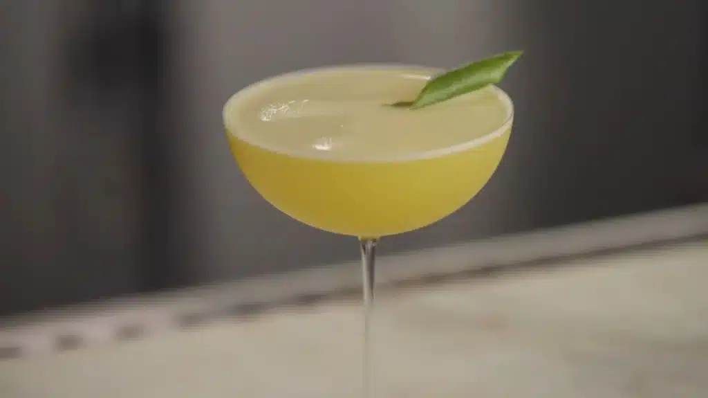 Zesty Lemon San Diego Cocktail with a Tropical Twist 1 Lemon San Diego Cocktail in a coupe glass