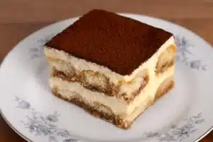 Delicious Terra Massoud Recipe dessert featuring layers of coffee-soaked ladyfingers, creamy mascarpone, and a dusting of cocoa powder, served on a floral-patterned plate.