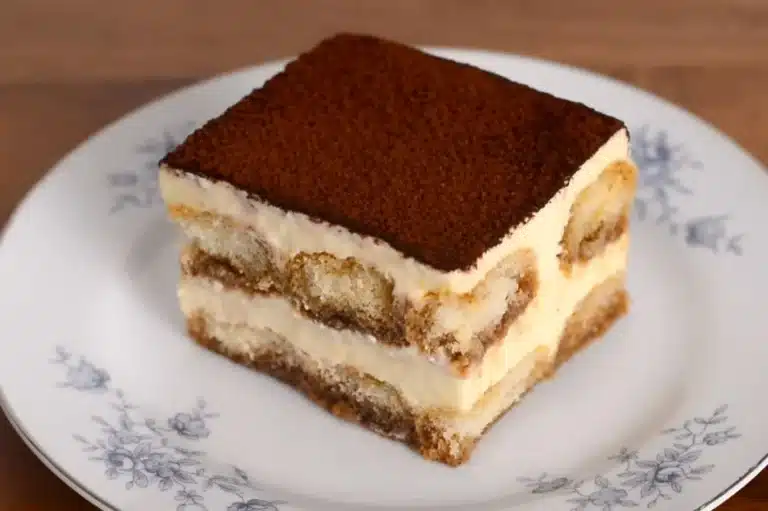 Delicious Terra Massoud Recipe dessert featuring layers of coffee-soaked ladyfingers, creamy mascarpone, and a dusting of cocoa powder, served on a floral-patterned plate.