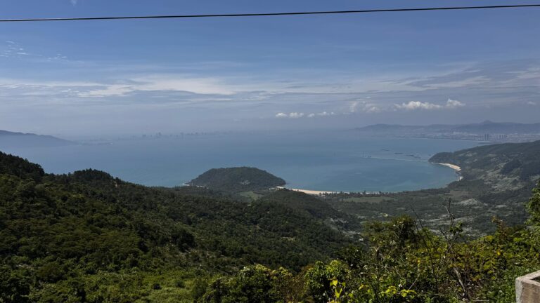 Top Travel Destinations Mangoes and Palm Trees