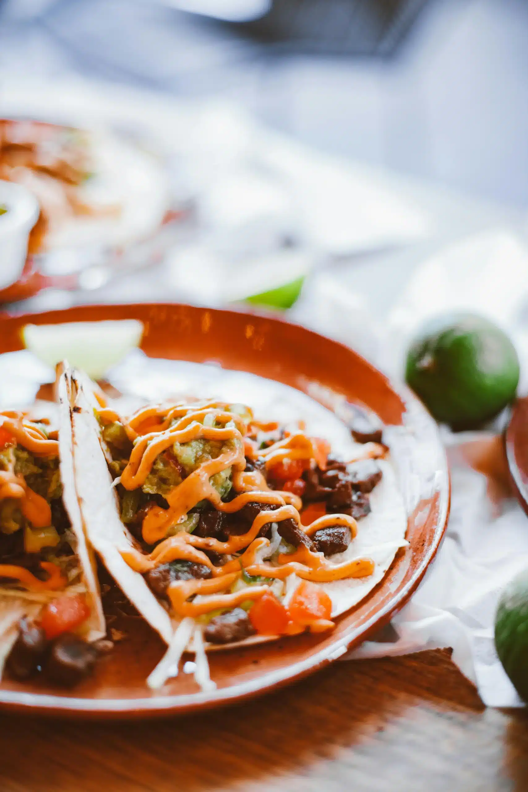 Guajillo Chili Beef Tacos Mangoes and Palm Trees