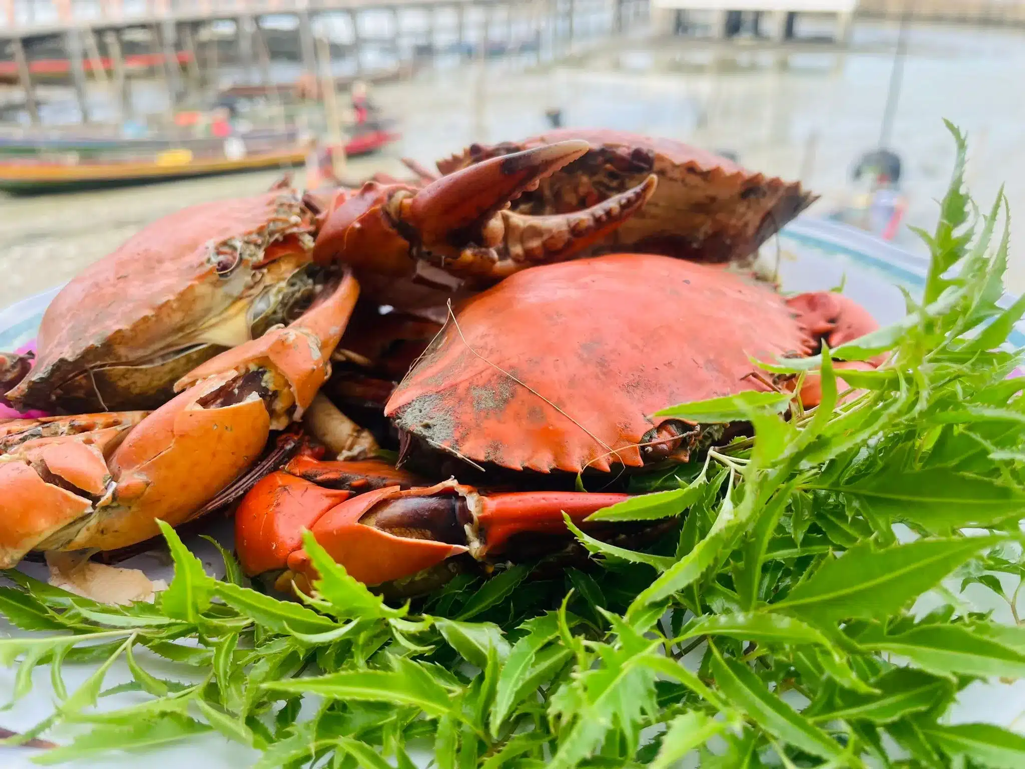 A plate of bright red cooked crabs, ready to eat.