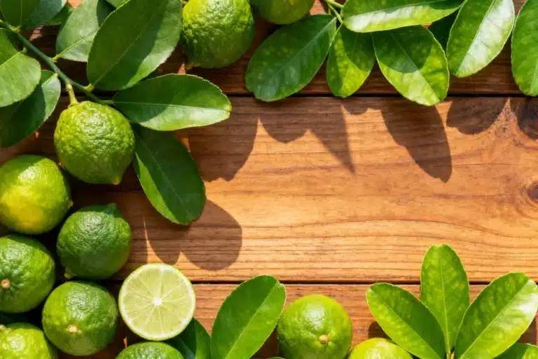 What Is Kaffir Lime (Makrut Lime)? Complete 2025 Guide 7 What is kefir lime
