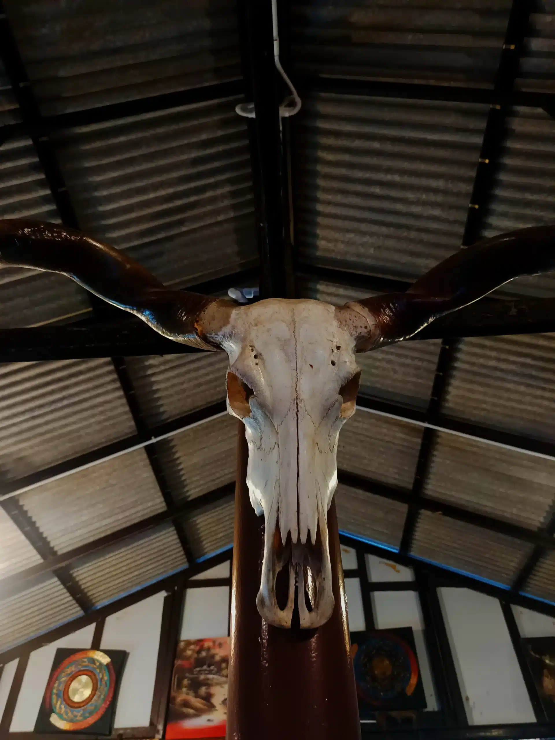 Buffalo skull art decoration at Kai Bar, Lamai, Koh Samui.