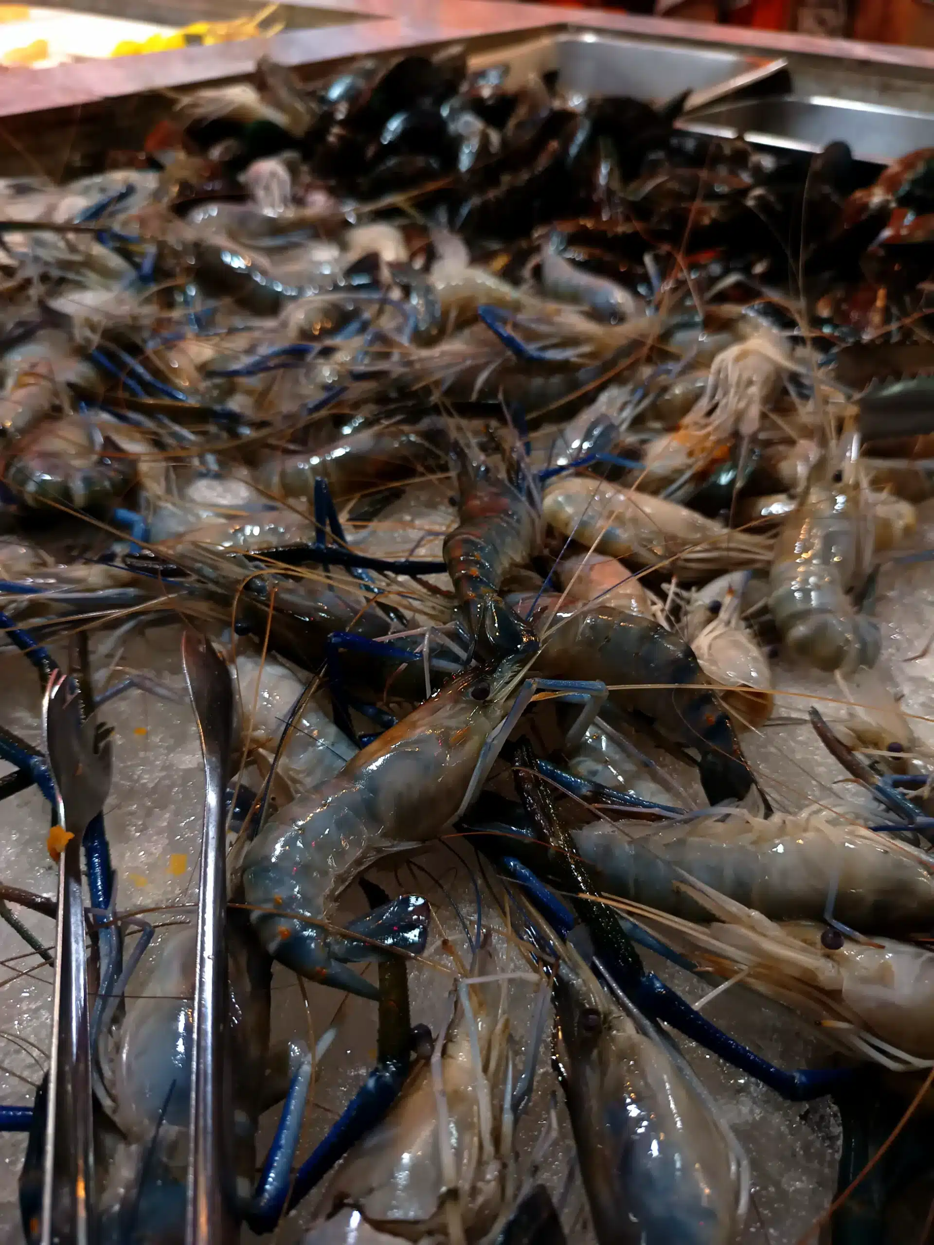 Raw prawns at the Mr. Dum buffet counter before we carried them to the charcoal grill