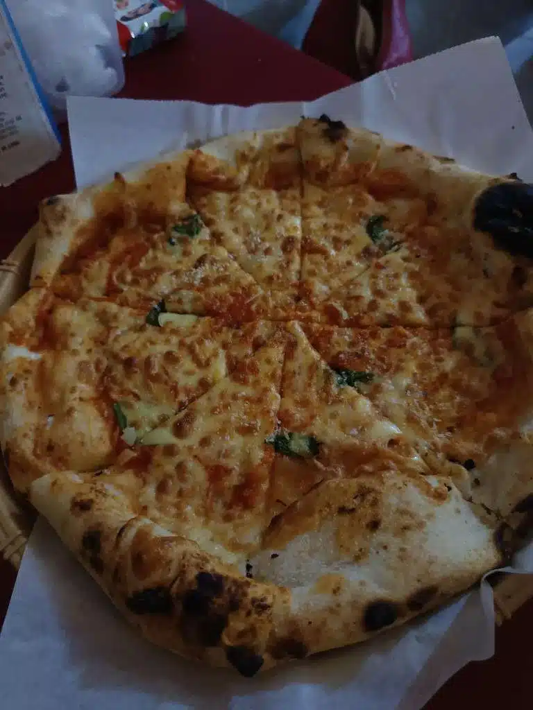 Sliced Pizza 100 Margherita with tomato sauce, melted cheese, and basil